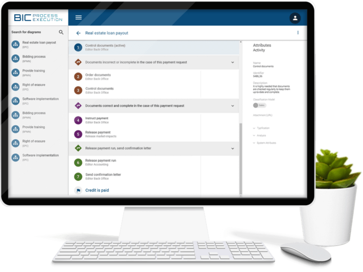 BIC Process Execution BIC Process Execution