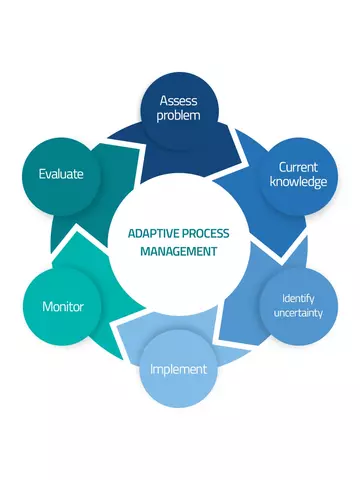 Adaptive Process Management