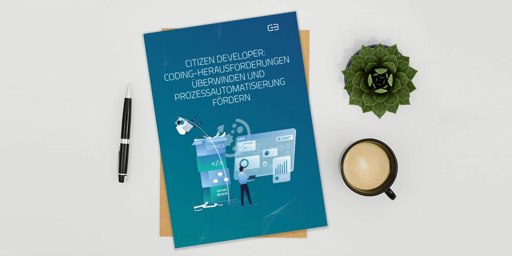 Whitepaper Citizen Developer