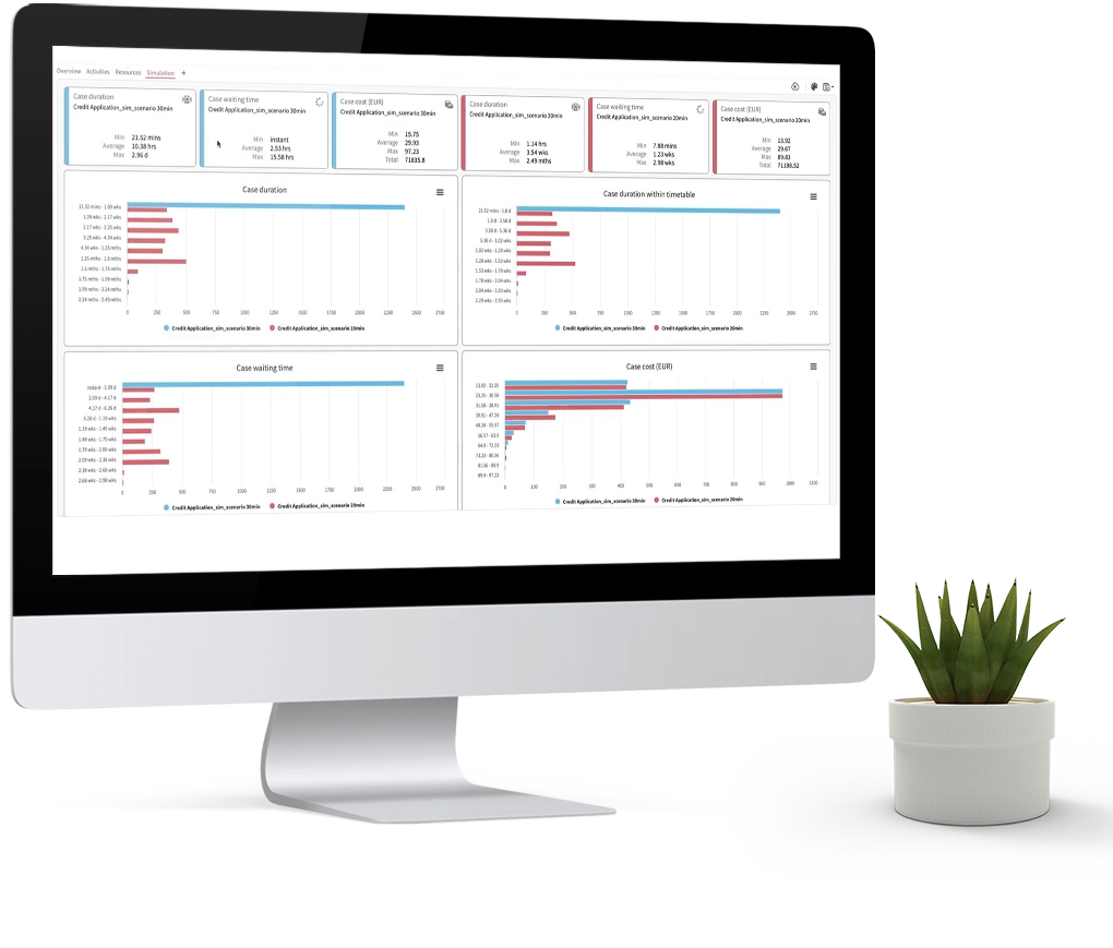 Process simulation